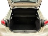 the back of a car with its trunk open on a white background
