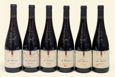 six bouteilles de vin sont alignées sur une surface blanche