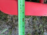 a measuring tape that is on a red bench
