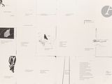 a black and white photo of a bunch of drawings on a wall