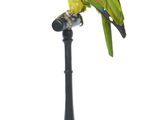 a green parrot sitting on top of a black stand