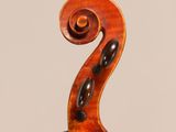 a close up of the back of a violin