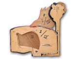 a wooden horse with a clock on it ' s face