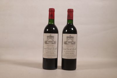deux bouteilles de vin rouge posées l'une à côté de l'autre sur une surface blanche