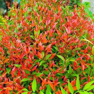 Destockage & Invendus