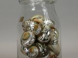 a glass jar with shells in it on a table
