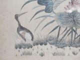 two birds that are standing in the grass by the water