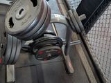 two dumbs on a rack in a gym room