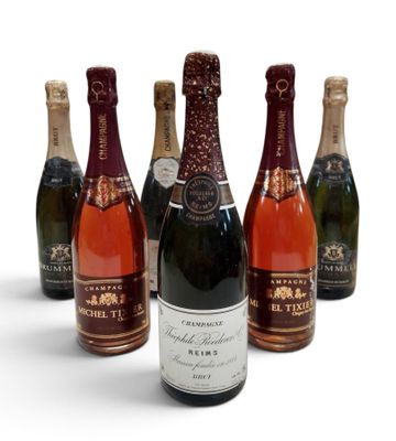 six bouteilles de vin sont alignées sur une surface blanche