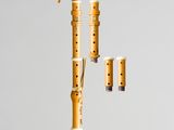 a musical instrument that is hanging from the ceiling
