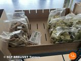 many bags of dog treats in a box on a table