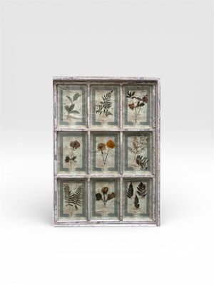 une photo d'une vieille fenêtre dans laquelle sont disposées des fleurs pressées