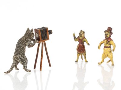 VIENNE, DÉBUT XXE Chat photographe et chats modèles