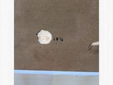 an image of a picture of a piece of paper that has been torn off