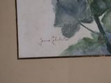 a picture of a painting of a rose on the wall