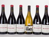 six bouteilles de vin sont alignées sur une surface blanche