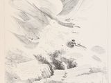 un dessin représentant un oiseau en plein vol dans le ciel