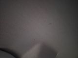 Photo 16/33 du lot