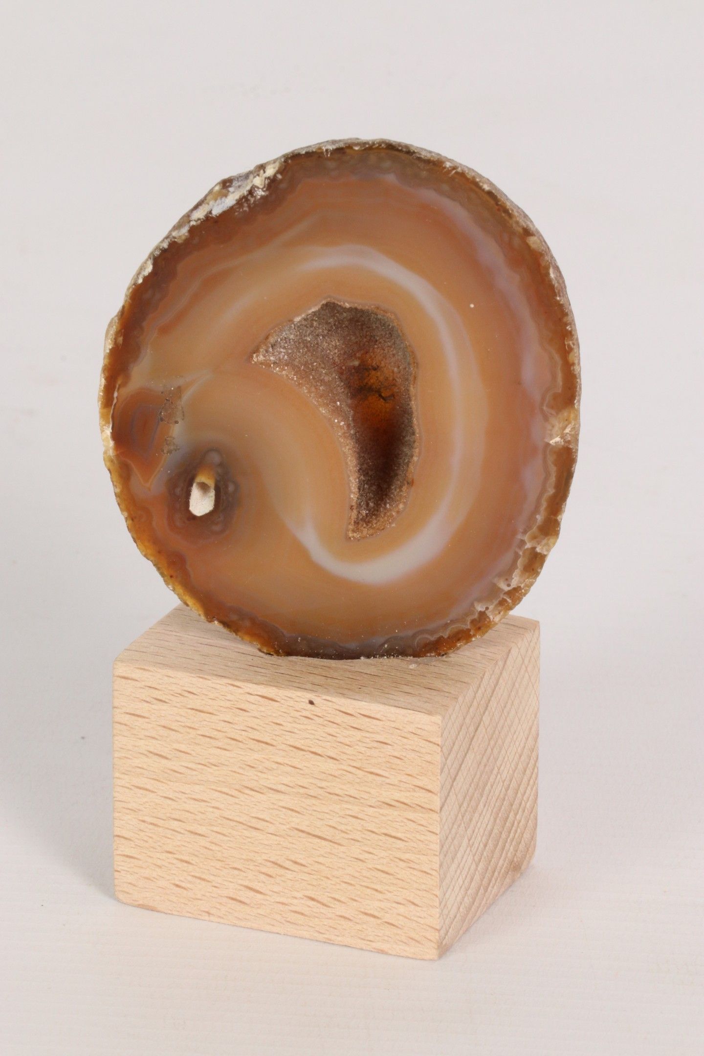 Objets d'art & Curiosités