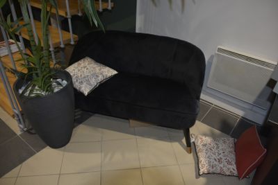 a black couch sitting in a living room next to a potted plant