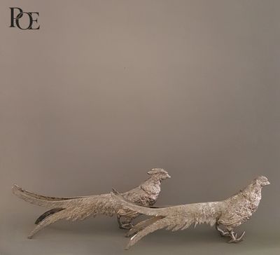 deux oiseaux qui se tiennent l'un à côté de l'autre sur une table