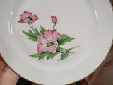 a person holding a plate with pink flowers on it