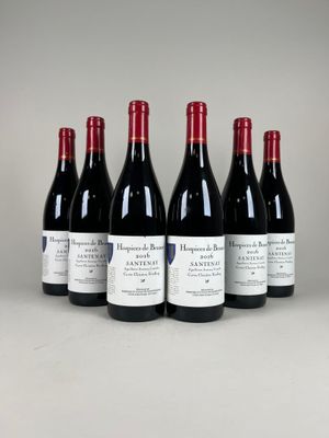 six bouteilles de vin rouge alignées
