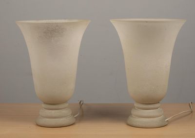Paire de vasques éclairantes en verre.