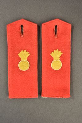 pair of red and gold military shoulder straps with pineapples