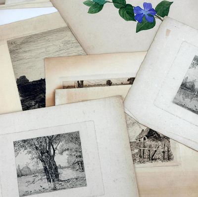 many old photos of trees and animals on the table
