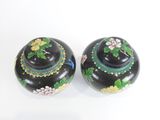 paire de cloisonnés noirs ornés de fleurs et de feuilles peintes