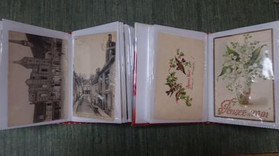 2 Classeurs de cartes postales sur les fleurs et les régions