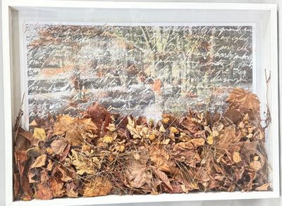 une photo d'une photo d'une fenêtre dans laquelle on voit des feuilles