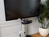 un grand téléviseur à écran plat posé sur un meuble, à côté d'une plante en pot