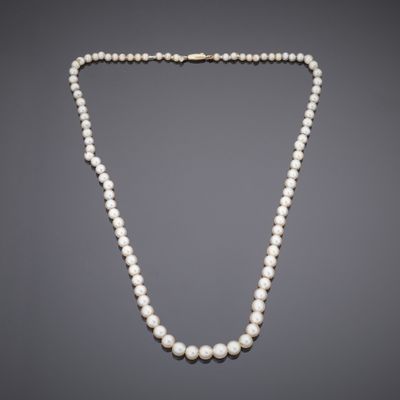 a white pearl necklace with a gold clasp