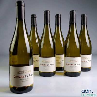 six bouteilles de vin sont alignées sur une table