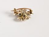 an image of a gold brooch with a bird on it