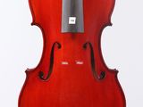 gros plan d'un violon avec un archet sur fond blanc