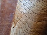 a close up of a wooden bench with a wooden seat