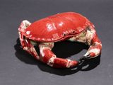 a red crab that is sitting on a black surface