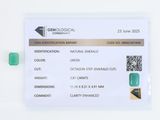 une image montrant un gros plan d'un comprimé vert posé sur une surface blanche