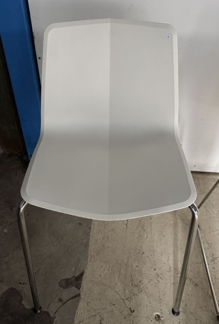 Objets d'art & Curiosités