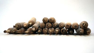a pile of mushrooms that are sitting on a table