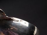 a man holding a silver plate with a bird on it