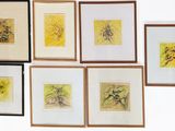 several framed pictures of birds and flowers on a white wall