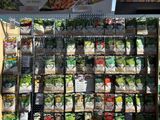 de nombreux sacs de légumes exposés dans une épicerie