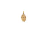 a close up of a gold plated pendant on a white background
