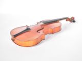 violin on a white background with copy space for your text