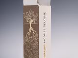 an image of a cardboard box with a tree on top of it