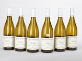 six bouteilles de vin sont alignées sur une surface blanche